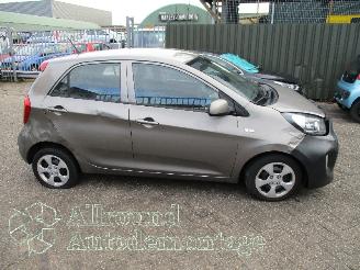 Kia Picanto Picanto (TA) Hatchback 1.0 12V (G3LA) [49kW]  (05-2011/06-2017) picture 7