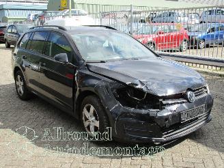 Volkswagen Golf Golf VII Variant (AUVV) Combi 1.2 TSI 16V (CJZB) [63kW]  (05-2013/12-2=
020) picture 2