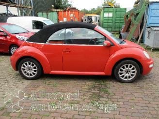 Volkswagen New-beetle New Beetle (1Y7) Cabrio 1.6 (BFS) [75kW]  (01-2003/09-2010) picture 7