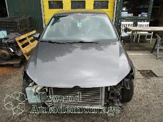 Volkswagen Polo Polo V (6R) Hatchback 1.2 TSI (CBZC(Euro 5)) [66kW]  (05-2011/05-2014)= picture 5