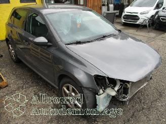 Volkswagen Polo Polo V (6R) Hatchback 1.2 TSI (CBZC(Euro 5)) [66kW]  (05-2011/05-2014)= picture 2