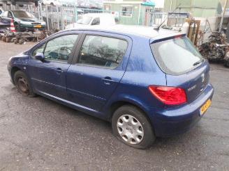 Peugeot 307 1.6 hdi 16v picture 4