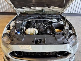 Ford Mustang 5.0 V8 Mach 1 Coupe picture 13