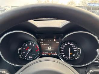 Alfa Romeo Stelvio Quadrifoglio Q4 Carbon / Pano / VOLL picture 17