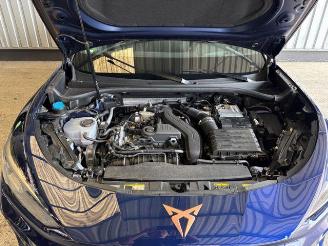 Cupra Terramar 1.5 eTSI Head-Up / LED picture 16