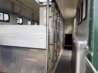 Mercedes Atego 1828L Pferdetransport 8 Pferde / Living picture 16