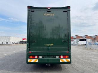 Mercedes Atego 1828L Pferdetransport 8 Pferde / Living picture 6