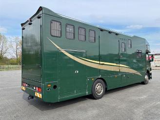 Mercedes Atego 1828L Pferdetransport 8 Pferde / Living picture 5