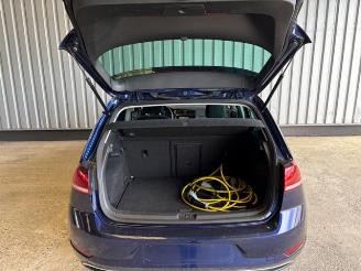 Volkswagen Golf VII Lim. e- picture 13
