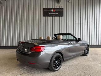 BMW 2-serie 0d Advantage Cabriolet LED / Navigation picture 6