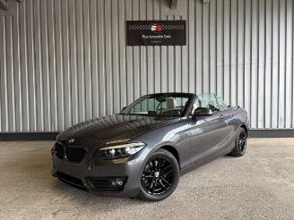 BMW 2-serie 0d Advantage Cabriolet LED / Navigation picture 3