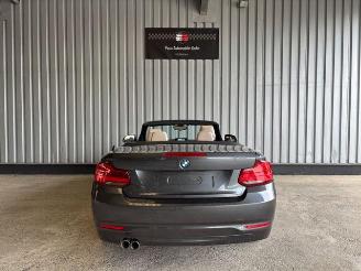 BMW 2-serie 0d Advantage Cabriolet LED / Navigation picture 7
