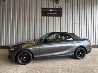 BMW 2-serie 0d Advantage Cabriolet LED / Navigation picture 1