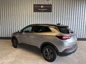 Opel Grandland (X) 120 Jahre R-Kamera / Navi / LED picture 4