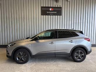 Opel Grandland (X) 120 Jahre R-Kamera / Navi / LED picture 3