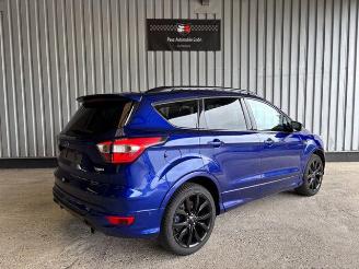 Ford Kuga ST-Line Navigation / R-Kamera / AHK picture 6
