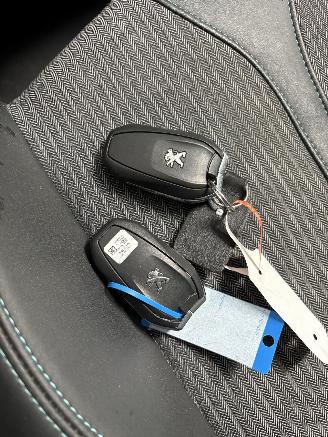 Peugeot 3008 1.6 Hybrid 225 GT picture 27