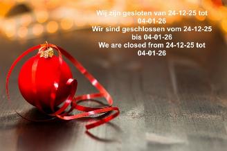 Coche accidentado Audi  Gesloten van 24-12 tot 04-01-26 2026/1