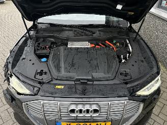 Audi E-tron 55 Quattro Advanced Pro Line Plus 95kWh picture 25