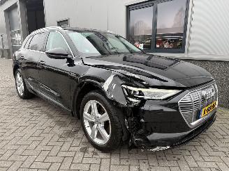 uszkodzony samochody osobowe Audi E-tron 55 Quattro Advanced Pro Line Plus 95kWh 2019/9