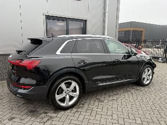 Audi E-tron 55 Quattro Advanced Pro Line Plus 95kWh picture 12