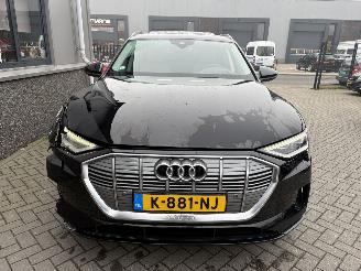 Audi E-tron 55 Quattro Advanced Pro Line Plus 95kWh picture 28