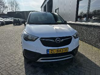 Opel Crossland 1.2 120 Jaar Edition picture 3