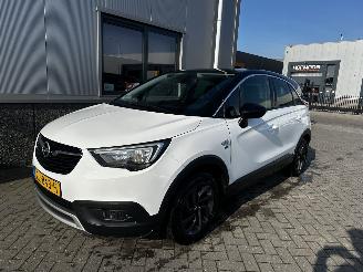 Opel Crossland 1.2 120 Jaar Edition picture 16