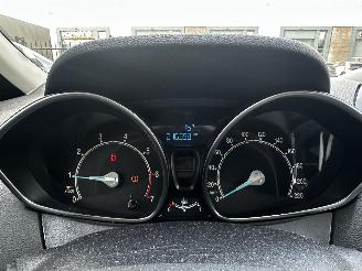 Ford B-Max 1.0 EcoBoost Titanium picture 26