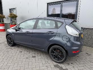 Ford Fiesta 1.25 Trend picture 13