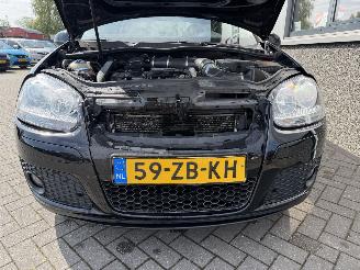 Volkswagen Golf 2.0 TSFI GTI 60 picture 18
