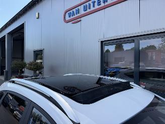 MG ZS EV Luxury 45 kWh picture 11