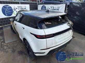 disassembly passenger cars Land Rover Range Rover Range Rover Evoque II (LZC/LZS/LZH), SUV, 2018 2.0 P250 MHEV 16V AWD 2019/8