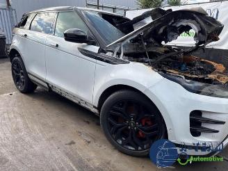 Land Rover Range Rover Range Rover Evoque II (LZC/LZS/LZH), SUV, 2018 2.0 P250 MHEV 16V AWD picture 3