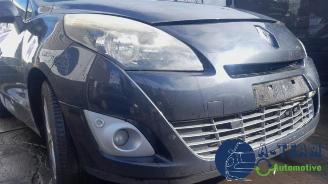 Renault Grand-scenic Grand Scenic III (JZ), MPV, 2009 / 2016 2.0 16V CVT picture 14