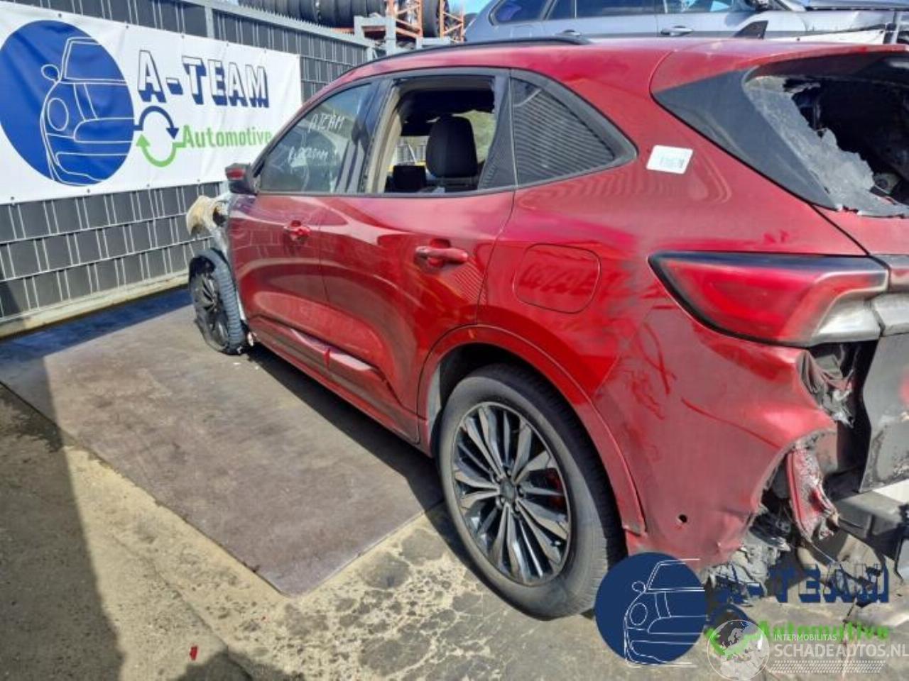 Ford Kuga Kuga III (DFK), SUV, 2019 2.5 PHEV 16V