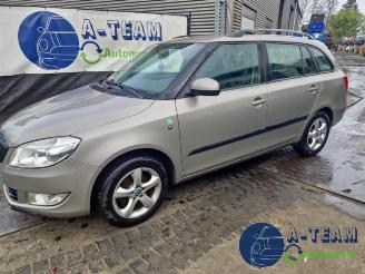 Skoda Fabia Fabia II Combi, Combi 5-drs, 2007 / 2015 1.2 TDI 12V Greenline picture 5