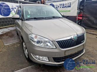 Skoda Fabia Fabia II Combi, Combi 5-drs, 2007 / 2015 1.2 TDI 12V Greenline picture 3