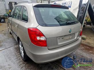 Skoda Fabia Fabia II Combi, Combi 5-drs, 2007 / 2015 1.2 TDI 12V Greenline picture 11