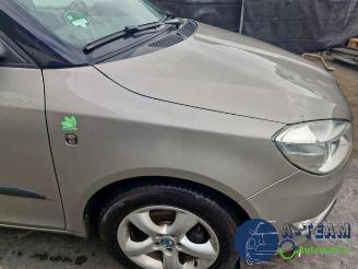Skoda Fabia Fabia II Combi, Combi 5-drs, 2007 / 2015 1.2 TDI 12V Greenline picture 15