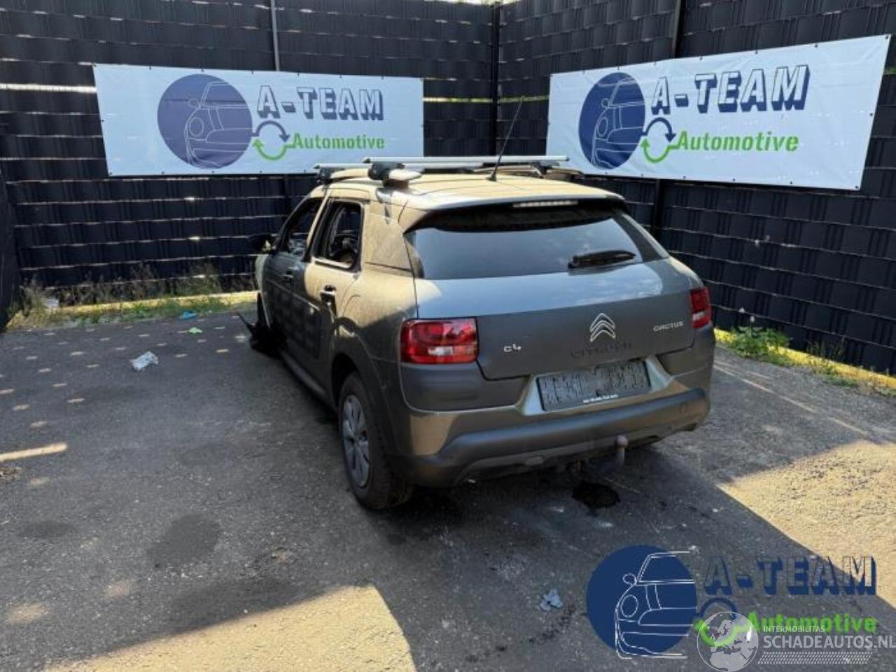 Citroën C4 cactus C4 Cactus (0B/0P), Hatchback 5-drs, 2014 1.6 Blue Hdi 100