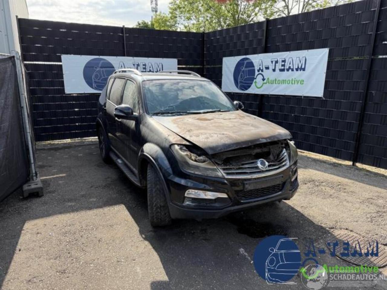 Ssang yong Rexton Rexton W, SUV, 2012 / 2017 2.2 RX 220 E-XDI 16V 2WD