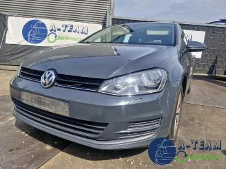 Volkswagen Golf Golf VII Variant (AUVV), Combi, 2013 / 2021 1.6 TDI BlueMotion 16V picture 6
