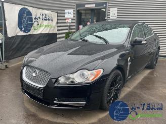 Autoverwertung Jaguar XF XF (CC9), Sedan, 2008 / 2015 3.0 V6 24V 2009/1