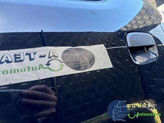 Suzuki Alto Alto, Hatchback 5-drs, 2009 1.0 12V picture 30