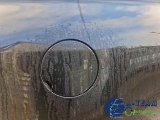 Renault Mégane Megane III Coupe (DZ), Hatchback 3-drs, 2008 / 2016 1.4 16V TCe 130 picture 29