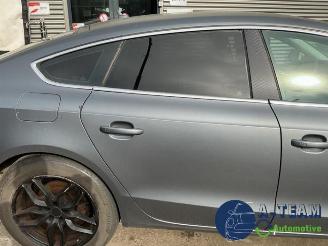 Audi 50 A5 Sportback (8TA), Liftback, 2009 / 2017 2.0 TDI 16V picture 12