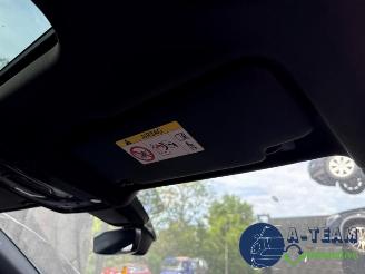 Audi SQ5 SQ5 (FYB/FYG), SUV, 2016 3.0 TFSI V6 24V picture 31