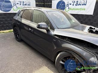 Audi SQ5 SQ5 (FYB/FYG), SUV, 2016 3.0 TFSI V6 24V picture 7