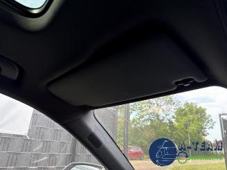 Audi SQ5 SQ5 (FYB/FYG), SUV, 2016 3.0 TFSI V6 24V picture 30